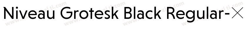 Niveau Grotesk Black Regular字体转换